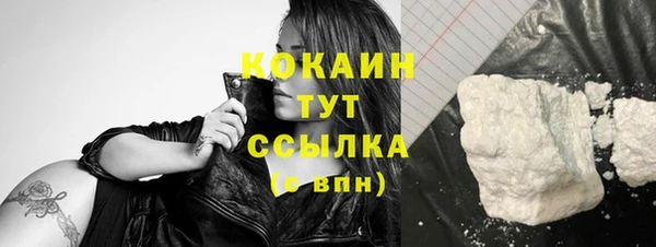 прущие крисы Пересвет
