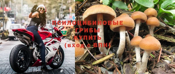 прущие грибы Иннополис
