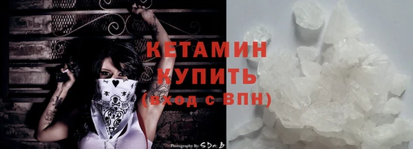 прущие грибы Иннополис