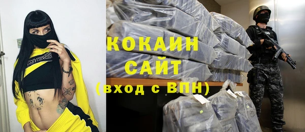 прущие грибы Иннополис