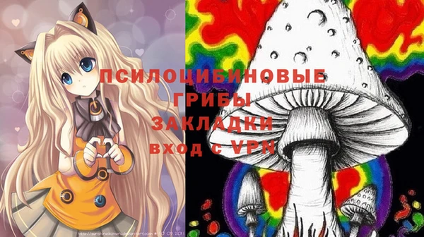 прущие грибы Иннополис
