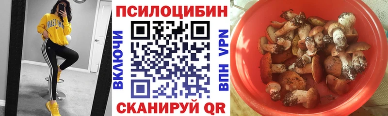 цены   Краснокамск  Галлюциногенные грибы MAGIC MUSHROOMS 